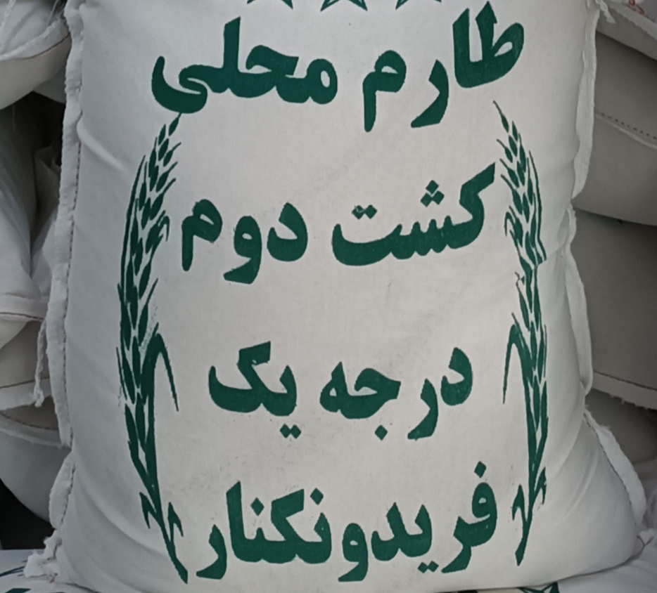 برنج طارم محلی کشت دو